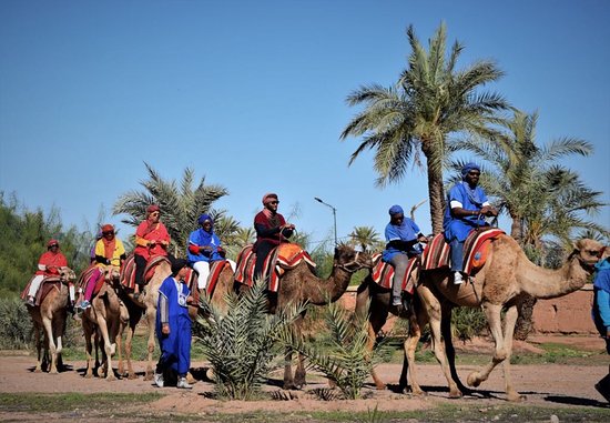 camel riding in Morocco