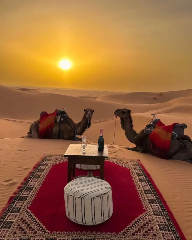 Camel Riding in Morocco: Ultimate Guide to Desert & Marrakech Experiences