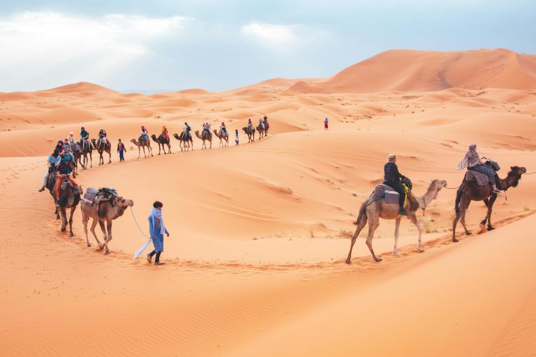 Agafay vs Zagora vs Merzouga: Morocco Desert Guide 2026
