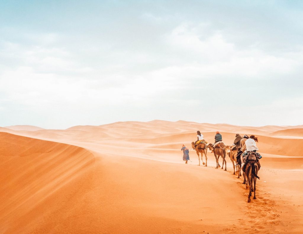 Camel Riding in Morocco: Ultimate Guide to Desert & Marrakech Experiences