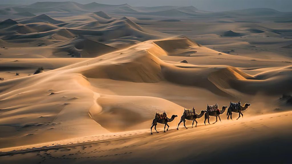 Morocco desert tour from Marrakech to Merzouga - Sahara dunes and camel trek