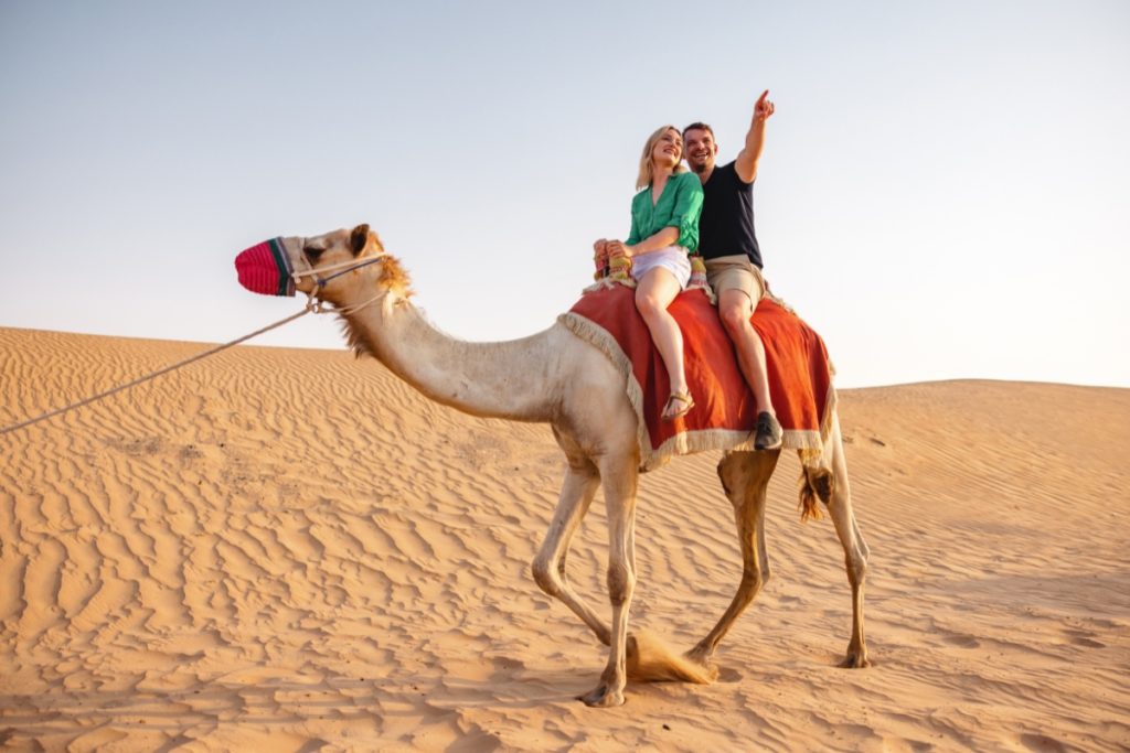 Morocco Travel Guides: Complete Guide to Morocco Tours, Desert Trips & Itineraries 2026