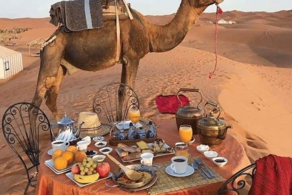 Fes Morocco Travel Guide