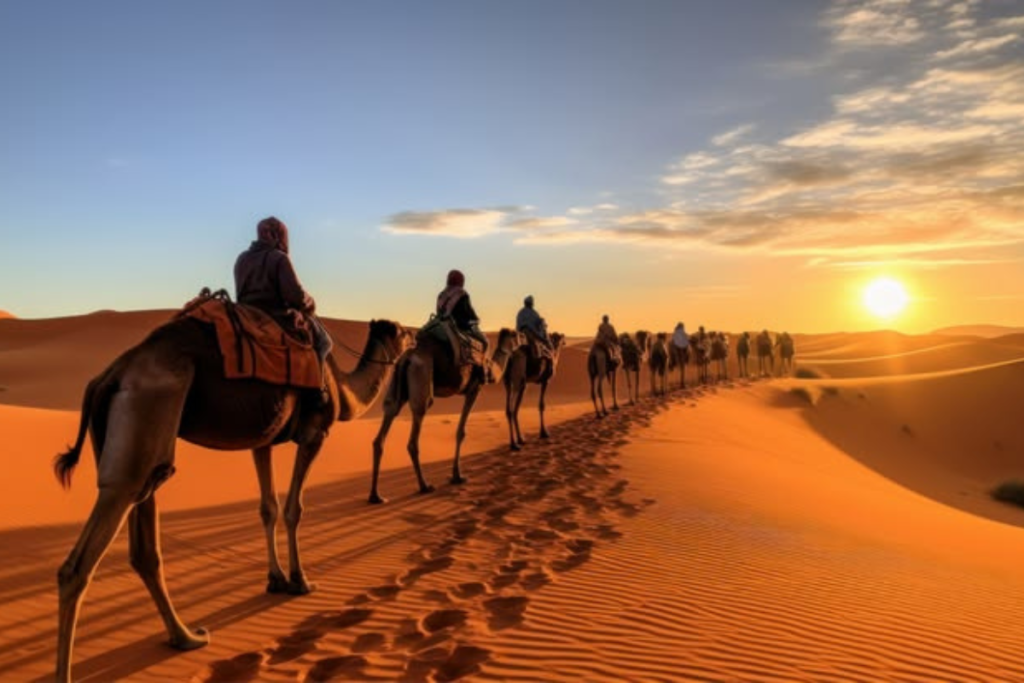 Morocco Tours