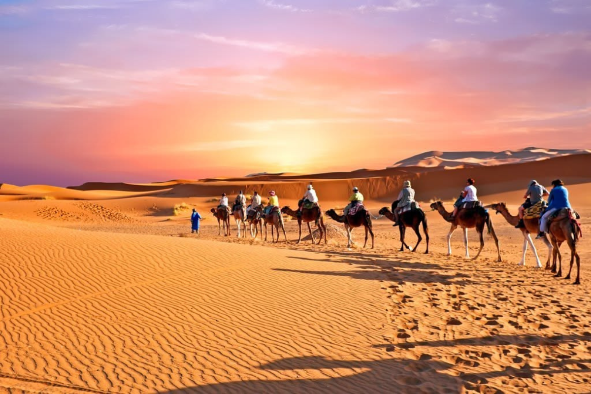 Camel caravan trekking across the golden Sahara dunes in Morocco at sunset